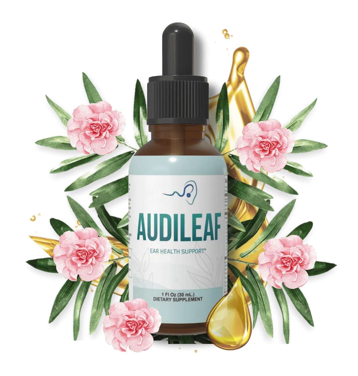 AudiLeaf Supplement AudiLeaf Supplement